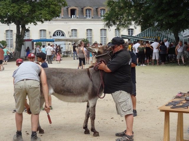 fete ane 2018 (66).JPG